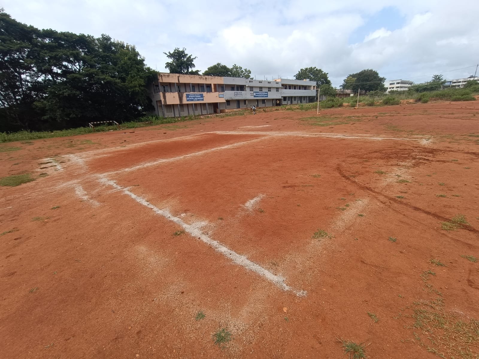 College students participating in sports activities
